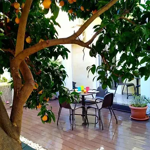 Sunny Orange Garden In Appartement